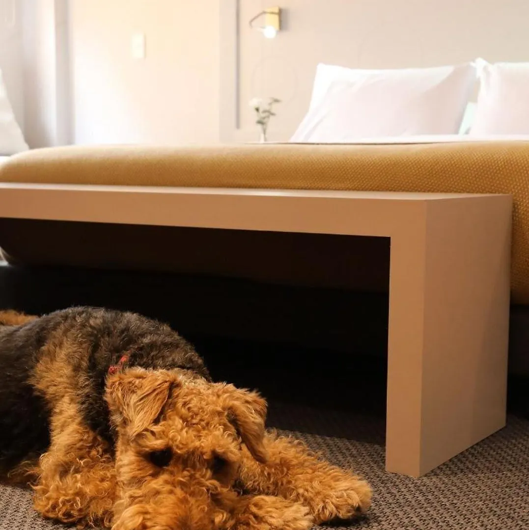 Chic Loft Escape In Trendy Zona G 502 Apartment Bogota